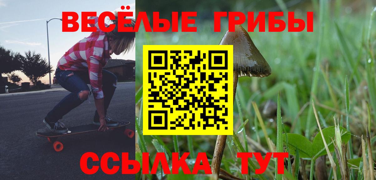 Галлюциногенные грибы Psilocybe Белая Калитва